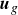 bold italic u Subscript g