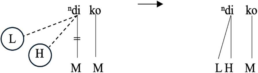 A linguistic tone association diagram showing the mapping of L H negative polarity grammatical tone to the word n d i k o.