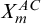 upper X Subscript m Superscript upper A upper C