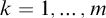 k equals 1 comma ellipsis comma m