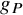 g Subscript upper P