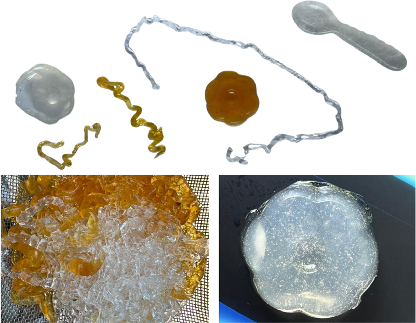 Various samples of algae-based materials displayed in different forms.
