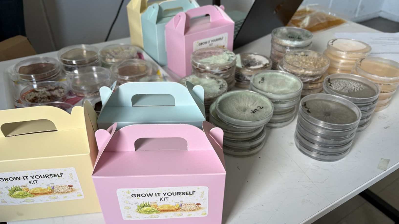 A table displays various grow-it-yourself kits and containers with different substances.