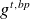 g Superscript t comma b p