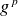 g Superscript p