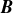 bold italic upper B
