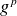 g Superscript p