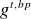 g Superscript t comma b p
