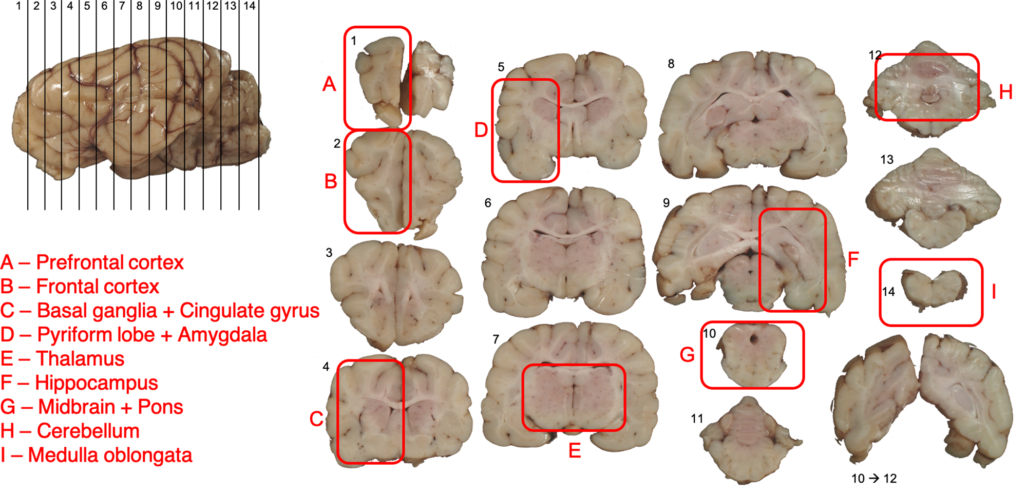 Figure 0