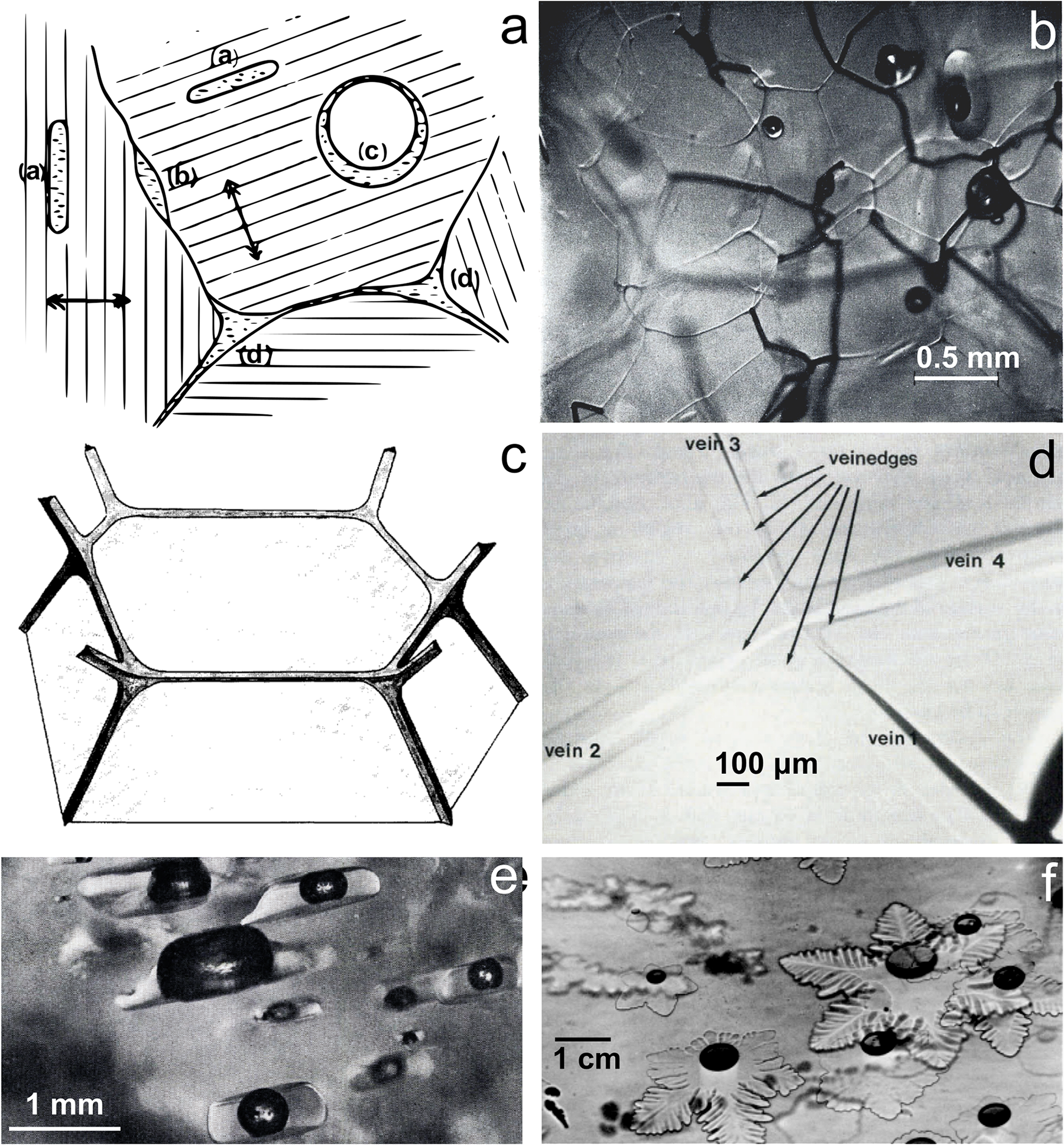 Figure 0
