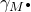 gamma Subscript upper M Sub Superscript bullet