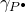 gamma Subscript upper P Sub Superscript bullet