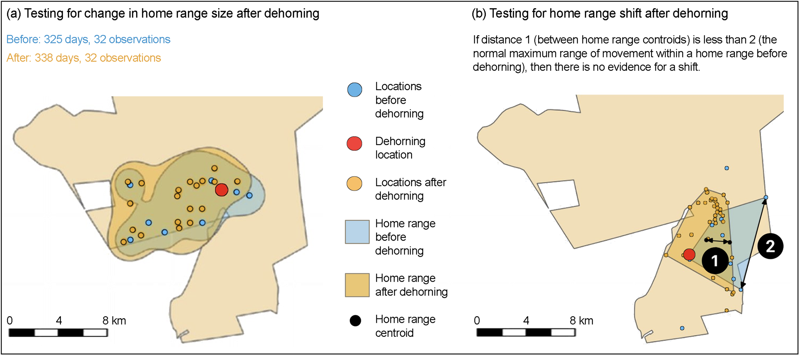 A diagram showing methods to compute changes in home range size and shifts for rhinoceroses before and after dehorning.