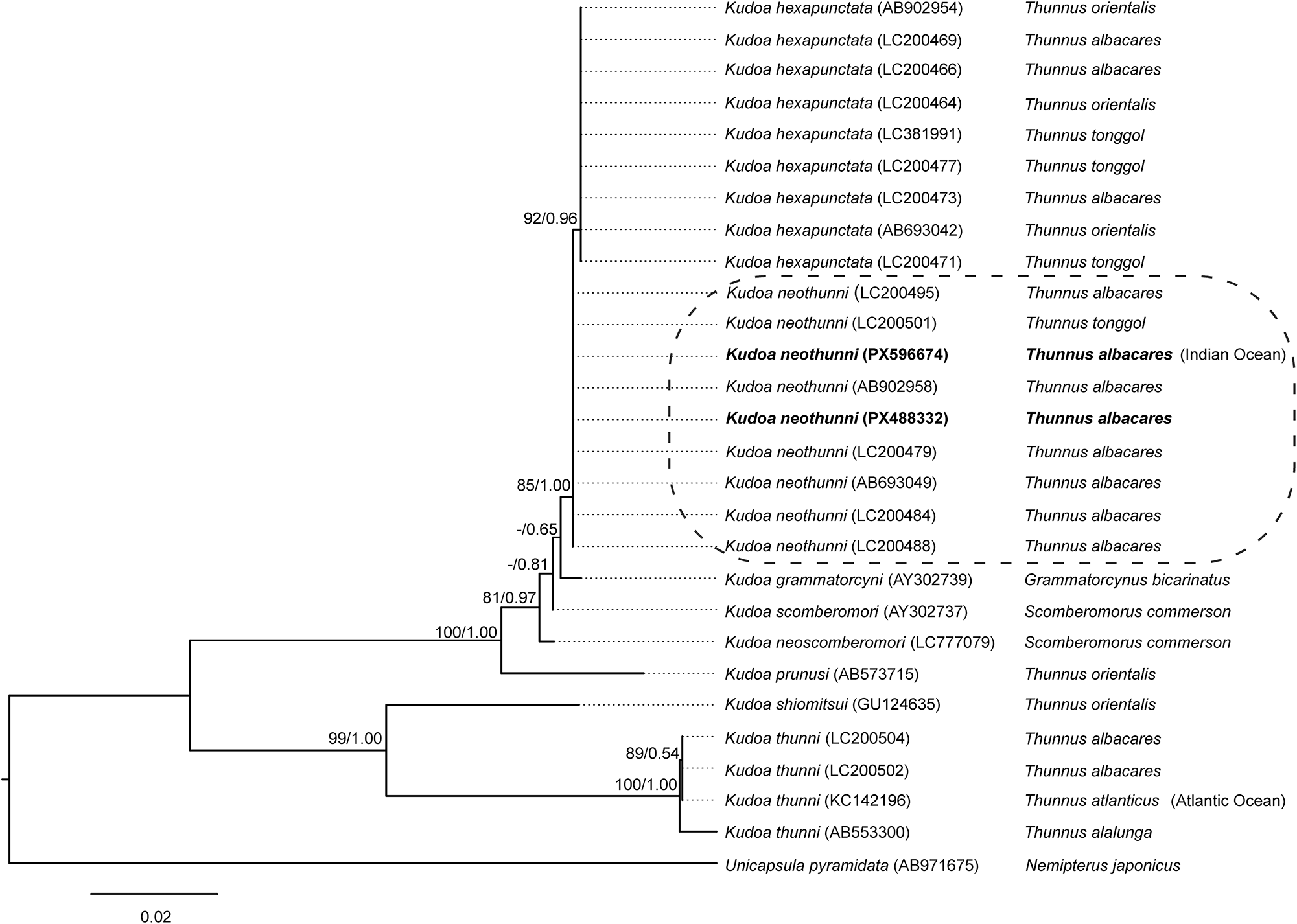 Figure 4