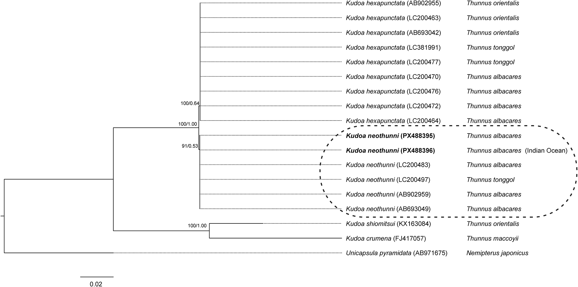 Figure 5