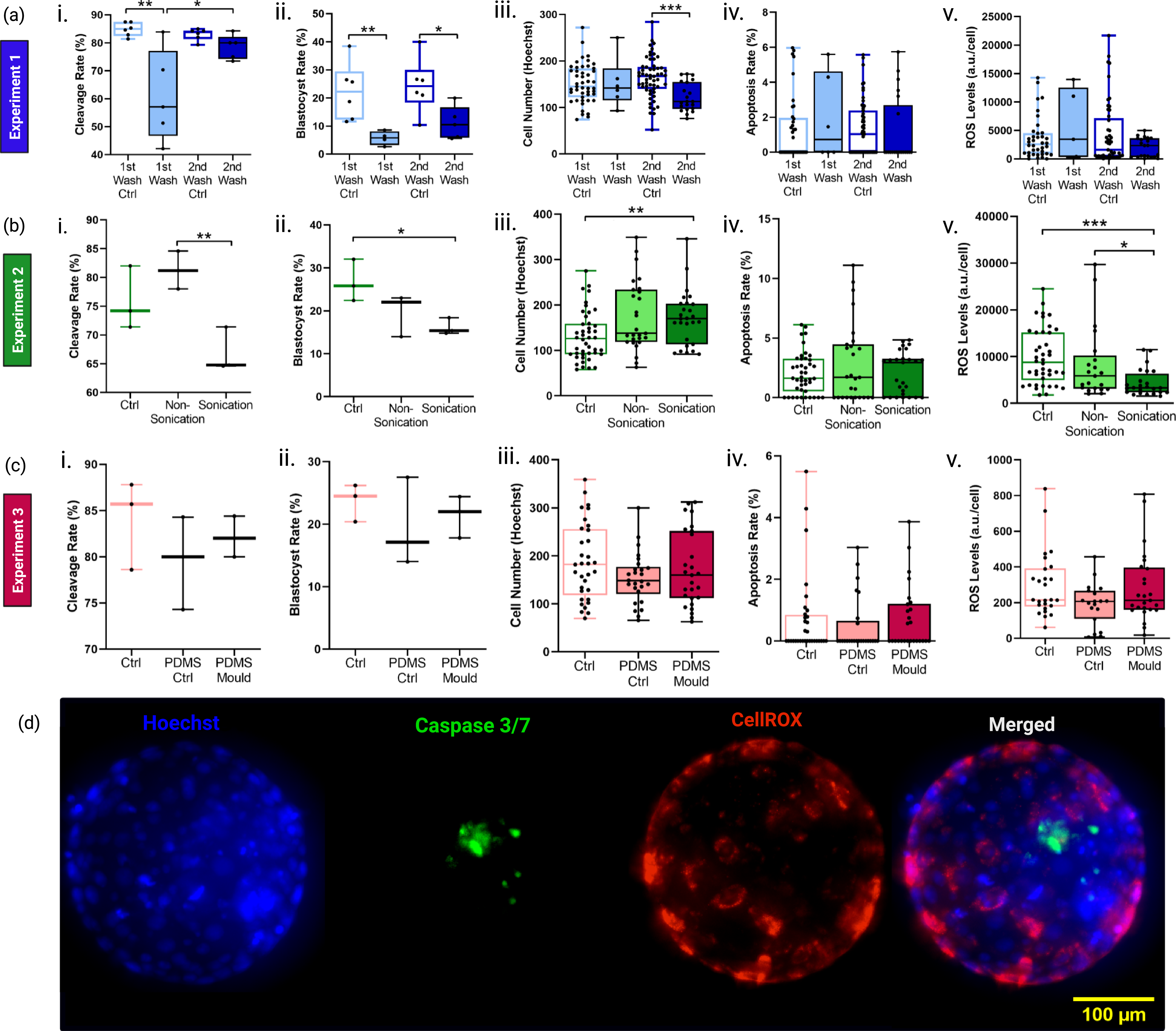 Multiple graphs and a fluorescent image analyze the biocompatibility of cleaning protocols for PDMS devices on embryo production.