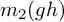 m 2 left parenthesis g h right parenthesis