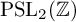upper P upper S upper L 2 left parenthesis double struck upper Z right parenthesis