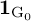 bold 1 Subscript normal upper G 0