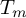 upper T Subscript m