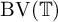 upper B upper V left parenthesis double struck upper T right parenthesis