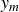 y Subscript m