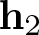 h 2