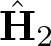upper H caret 2
