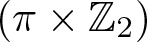 left parenthesis pi times upper Z 2 right parenthesis