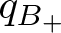 qB plus