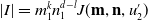 StartAbsoluteValue upper I EndAbsoluteValue equals m 1 Superscript k Baseline n 1 Superscript d minus l Baseline upper J left parenthesis bold m comma bold n comma u prime 2 right parenthesis