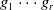 g 1 midline horizontal ellipsis g Subscript r Baseline