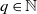 q element of double struck upper N
