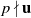 p does not divide bold u