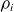 rho Subscript i