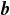 bold italic b