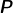 sans serif bold italic upper P