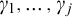 gamma 1 comma ellipsis comma gamma Subscript j Baseline