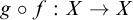 g ring f colon upper X right arrow upper X