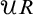 script upper U upper R