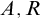 upper A comma upper R