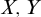 upper X comma upper Y