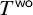 upper T Superscript sans serif wo