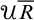 script upper U upper R overbar