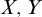 upper X comma upper Y