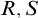 upper R comma upper S