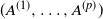 left parenthesis upper A Superscript left parenthesis 1 right parenthesis Baseline comma ellipsis comma upper A Superscript left parenthesis p right parenthesis Baseline right parenthesis