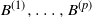 upper B Superscript left parenthesis 1 right parenthesis Baseline comma ellipsis comma upper B Superscript left parenthesis p right parenthesis