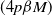 left parenthesis 4 p beta upper M right parenthesis