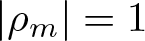vertical bar rho m vertical bar equals 1
